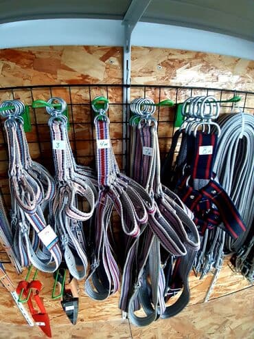 it ucun bit dermani: Mal noxtası müxtəlif ölçülü 2.5 man başlayan qiymətlərlə Türkiyə — 1