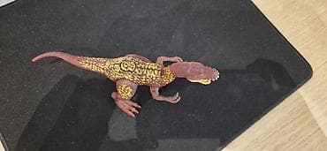 Şamlar: Fiqur, Plastik, rəng - Qəhvəyi — 3