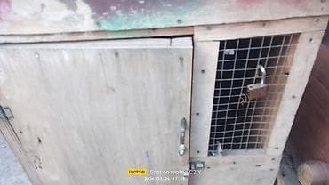 goyercin damı: Taxta quşxana/kümes - Material: kontrplak/taxta gövdə, metal örtüklü — 5