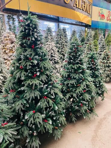 yolka isiqlari satisi: Yolka — 1