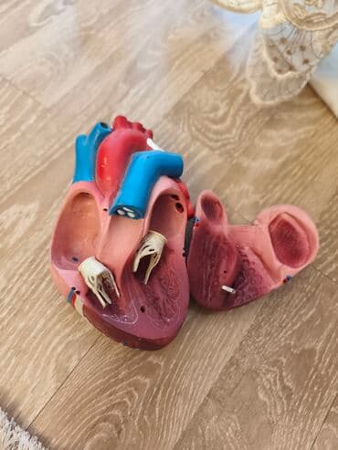 Güzgülər: Fiqur, Plastik — 4