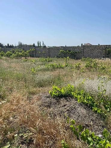 topaq: 12 sot, Tikinti, Mülkiyyətçi, Kupça (Çıxarış) — 10