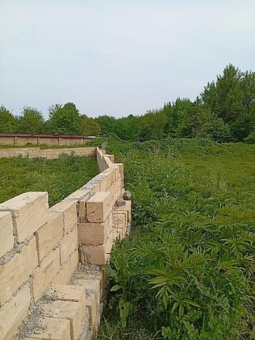 şirvanda torpaq satışı: 12 sot, Tikinti, Mülkiyyətçi, Kupça (Çıxarış) — 8