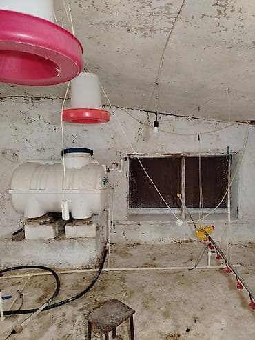 Broylər/quşçuluq ferması üçün avadanlıq komplekti. Təsərrüfat üçün — 7