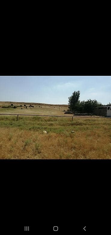 Гаражи: 21 соток, Для бизнеса, Собственник, Договор — 6