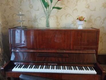 цыганские музыкальные инструменты: Пианино, Беларусь, Акустический, Новый, Самовывоз — 2
