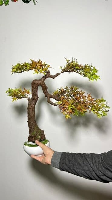 budda: Süni bonsai ağacı – dekorativ içməkan yaşıllaşdırma üçün - Realistik — 14