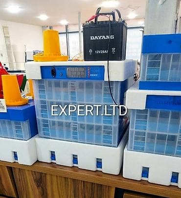 Çin, Fabrik istehsalı, Tam avtomat, Bütün növ quşlaq üçün