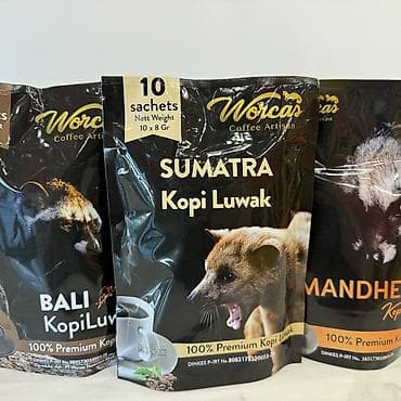 şiş burun xurma: Məhsul: Kopi Luwak qəhvəsi – premium seçimlər Təsvir: - Worcas Coffee — 1