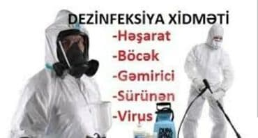 Dezinfeksiya, dezinseksiya