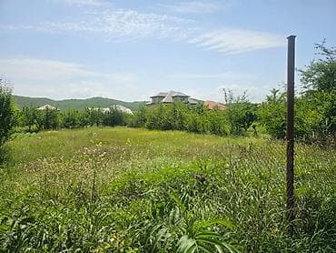 Tikinti