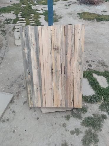 Paletlər Saat 21:00 a kimi zəng edib ətraflı soruşa bilərsiz xaiş