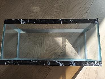 Akvarium tezedir hec bir problemi yoxdur qiriq falan hecne yoxdur — 2