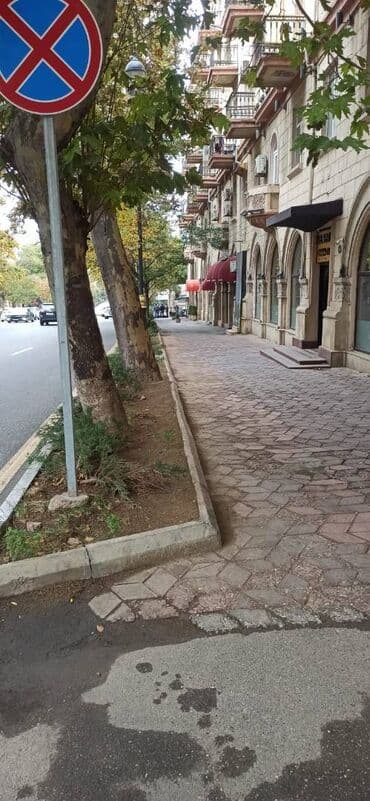 novxani restoranlar: Yasamal rayonu Nizami metrosuna yaxın 175 kv.m sahəsi olan, 4otağlı — 9