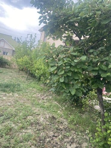 gencede ev alqi satqisi: 4 комнаты, 112 м², Нет кредита, Свежий ремонт — 7