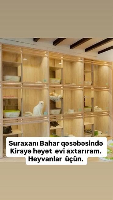 pers: Suraxanı, Bahar qəsəbəsində heyvanlar üçün kirayə, Əşyasız həyət evi — 3
