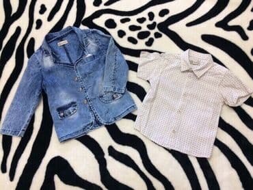 Kurtkalar: Cins pencek sarocka destdi 6azn satilir 5yawdi — 2