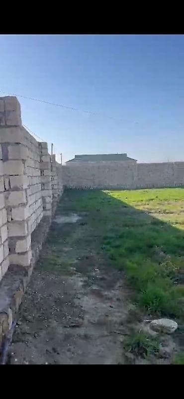 xacmazda bina evleri: 12 sot, Kənd təsərrüfatı, Kupça (Çıxarış) — 10