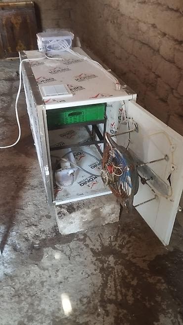 Оборудование для бизнеса: Salam. hərkəsə inqvator satılır 250 toyuq yumurtası tutur 3 dəfə özüm — 1