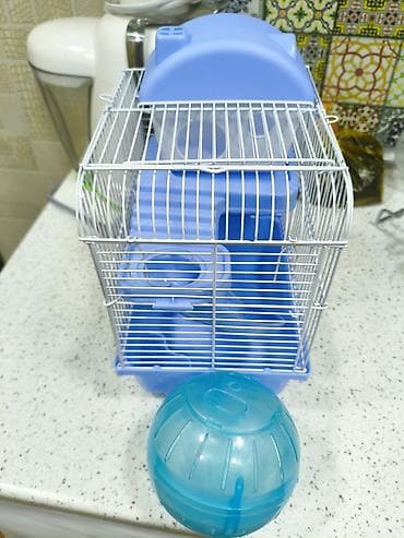 kana kors: Siçan/ximçatkan üçün qəfəs və aksesuar dəsti yeni kimidi,25 alinib — 2