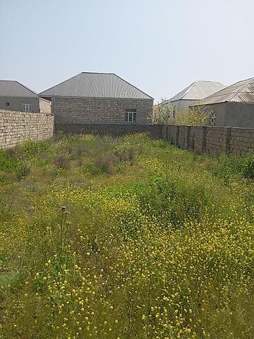 suraxan: Tikinti — 3