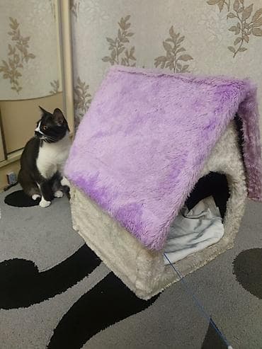 гусь: Pişik evi – yumşaq plyuş materialdan, daxili yastıqlı - Forma: ev — 4