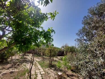 tap az bag evleri pirsagida: Bakı, 150 kv. m, 7 otaqlı, İnternet, Telefon, İşıq — 3