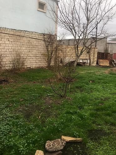 lalafo satılık emlak: Məhsul: Meyvə Bağı (həyətyanı torpaq sahəsi) Təsvir: - Yaşıl, kollu — 6