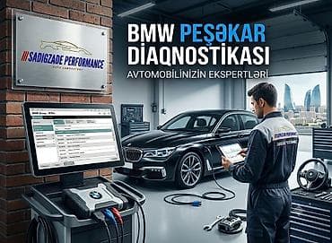 qapi demir qapi seyf qapi: BMW avtomobillərin diller proqramı ilə diaqnostikası Диагностика BMW — 1
