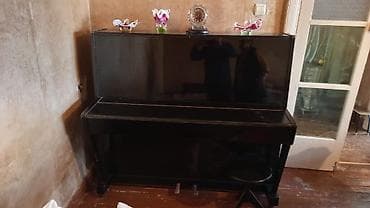 Velosiped aksesuarları: Piano, Belarus, Akustik — 2