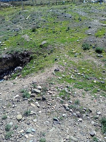 nəsimi kirayə ev: 14 sot, Tikinti, Mülkiyyətçi, Bələdiyyə — 3