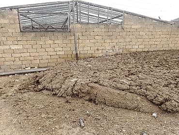 Məhsul: Təbii fermadan çıxan peyin (heyvan gübrəsi) Təsvir: - Torpaq