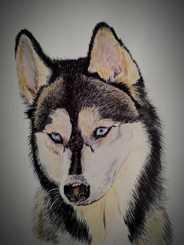 Şəkil və rəsmlər üçün çərçivələr: Salam. Gördüyünüz şəkillər hamısı öz əl işlərimdir və satışdadır — 6