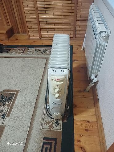 su radiatoru ev: Satılır ZASS markalı yağlı elektrik radiatoru. Tam işlək — 1