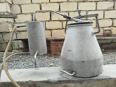 bıcaq itiliyən: Gulab nane çəkən — 2