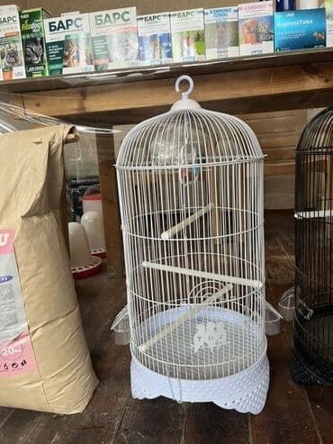 quş qəfəsləri: Quş qəfəsləri – dekorativ və funksional modellər - Formalar: dairəvi — 4
