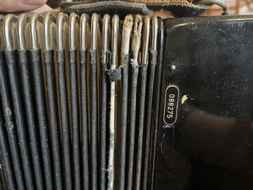 akkardion: Akkordeon — 4