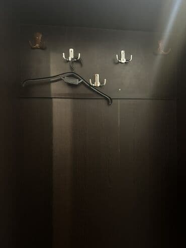 вешалка для верхней одежды: Açılan, Düz dolab, Dəhliz dolabı — 2