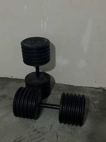 İdman çantaları: Ştanq diski, Çəki: 15 kq, Yeni — 1