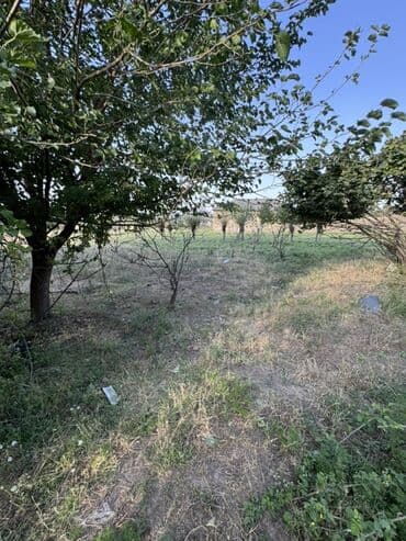 binəqədidə torpaq satılır: Torpaq satılır – 13 sot | Gəncəyə yaxın 📍 Gəncə şəhərinə cəmi 2 km — 5