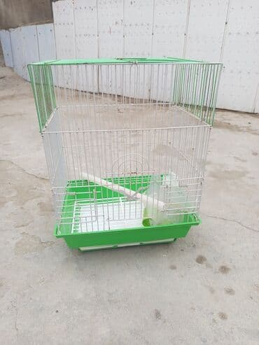 danişan quş: Quş qəfəsləri – müxtəlif rəng və komplektasiyalarda Məhsul təsviri: - — 6