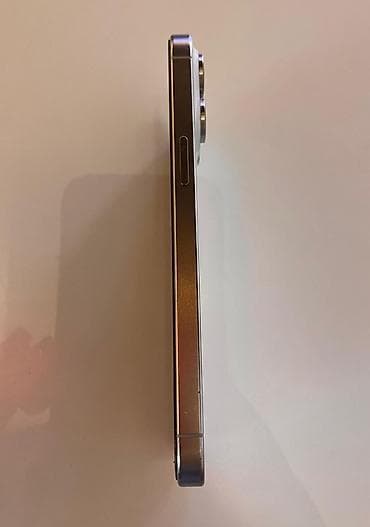 IPhone 15 Pro Max, 256 GB, White Titanium, Face ID