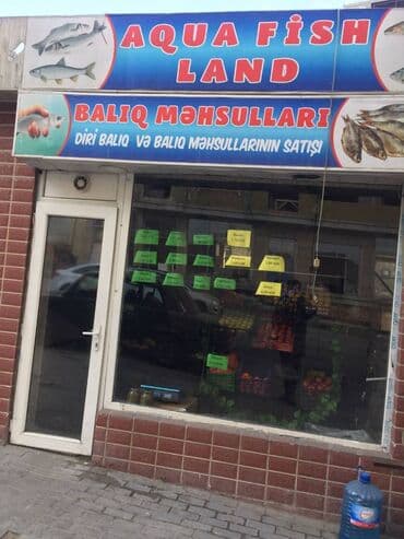 mingəcevirdə icarə obyektlər: Yasamal rayonu 25 kv.m sahəsi olan, obyekt(meyvə tərəvəz,balıq — 3