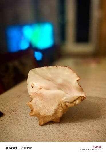 deniz ucun cetirler: Fiqur — 3