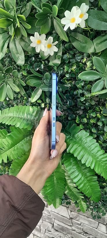 iphone 5s 32 gold: IPhone 16, 128 ГБ, Голубой, Гарантия — 2