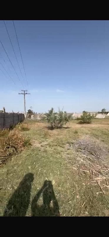 ev alqi satqisi ve kirayesi: Kənd təsərrüfatı — 4