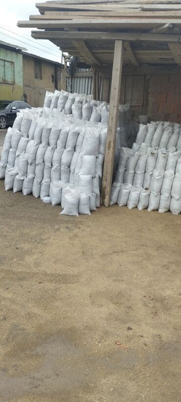 купить кирпич в баку: Kərpic(19×19×29)- 0.48 azn kərpic(10×19×19)- 0.26 azn kərpic(8×19×19)- — 5