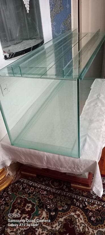 K/t heyvanları və malları: Salam istənilən ölçüdə akvarium və terariumlar yığıram nömrədə vhatsap — 7