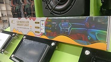 Digər avtoelektronika