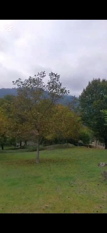 quba a frame evler: Tikinti — 8